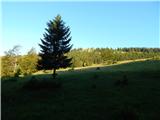 Kranjski Rak - Kapela Marije Snežne (Velika planina)